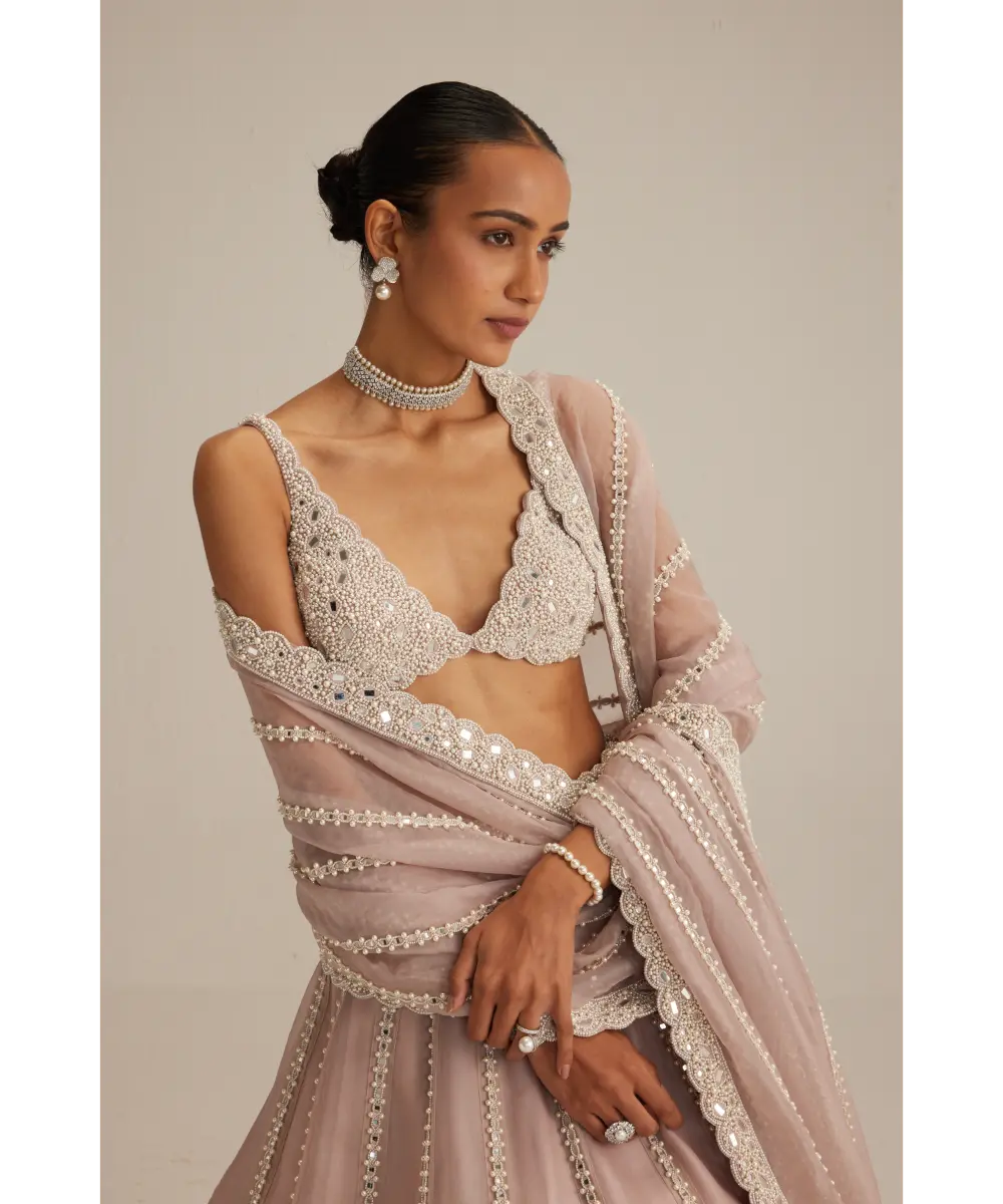 VVANI VATS- Ash Pink Pearl Mirror linear Lehenga with V neck Blouse